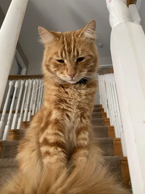 Neighbor stole my Chuck E Cheese and destroyed his AirTag