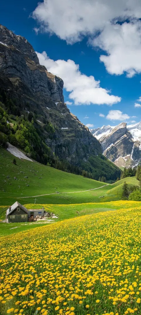 Do you wish to live there ? 💖