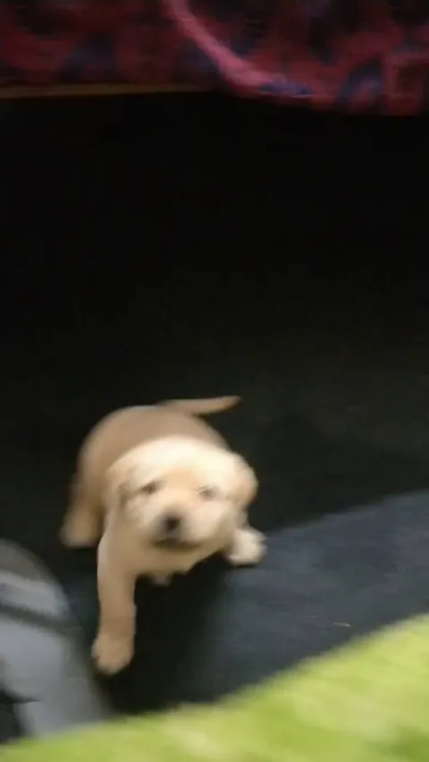 Send help… I can’t stop looking at this little potato