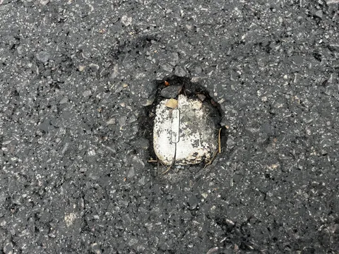 Someone’s AirPods are permanently embedded in this freshly paved road