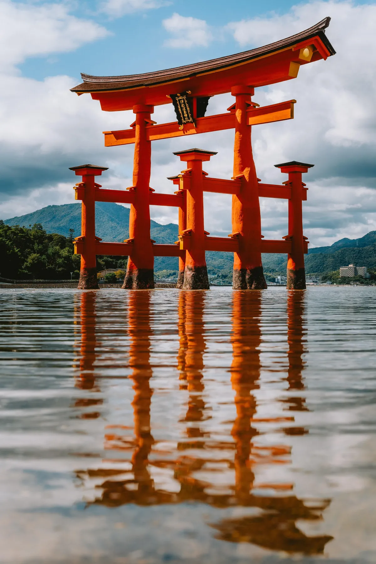 An incredible two weeks in Japan!