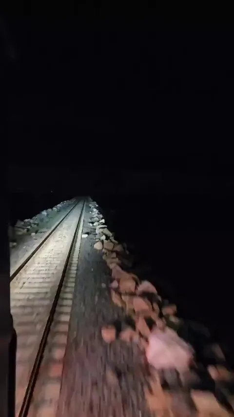 This looks like a nightmare or a dream.