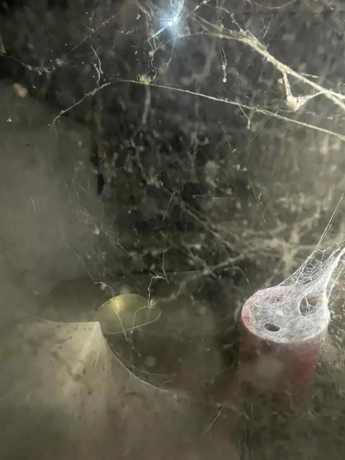 Hidden room with horrible secret