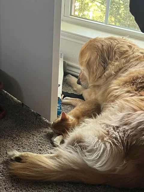 JimJim loves his Clover dog