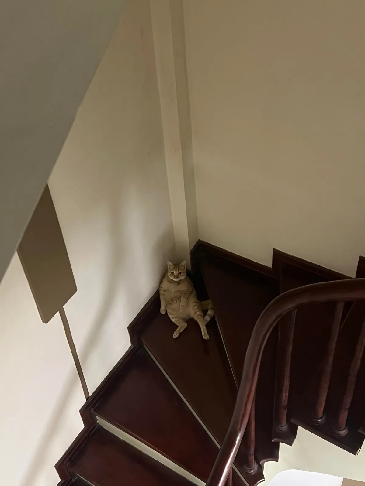 My roommate is unemployed and has a bad posture, roast him