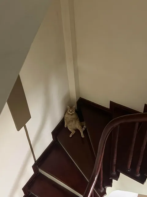 My roommate is unemployed and has a bad posture, roast him