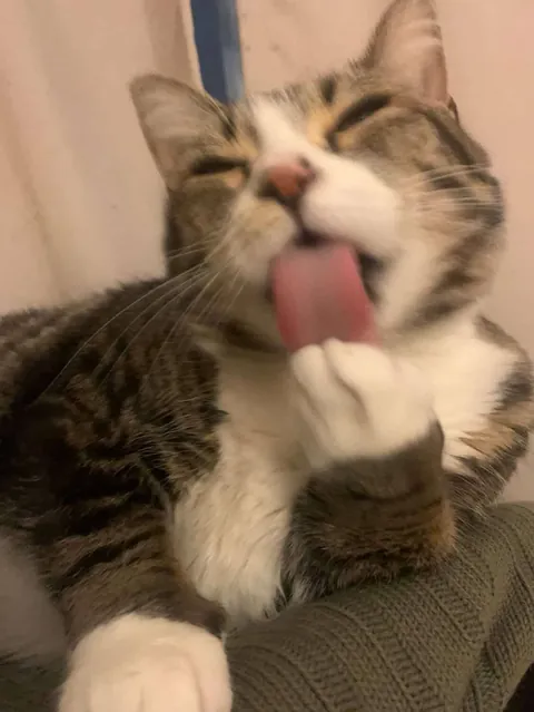 You NEED to swipe...