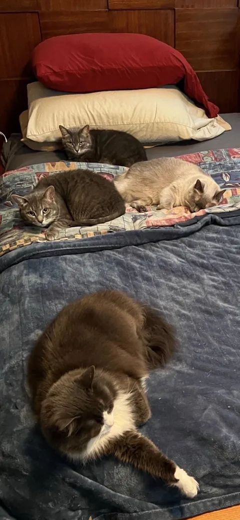 As long as they’re comfortable!