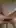 My hubby fucked me to orgasm and then he exploded all over me