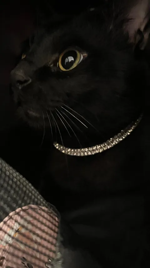 How i found him vs him now