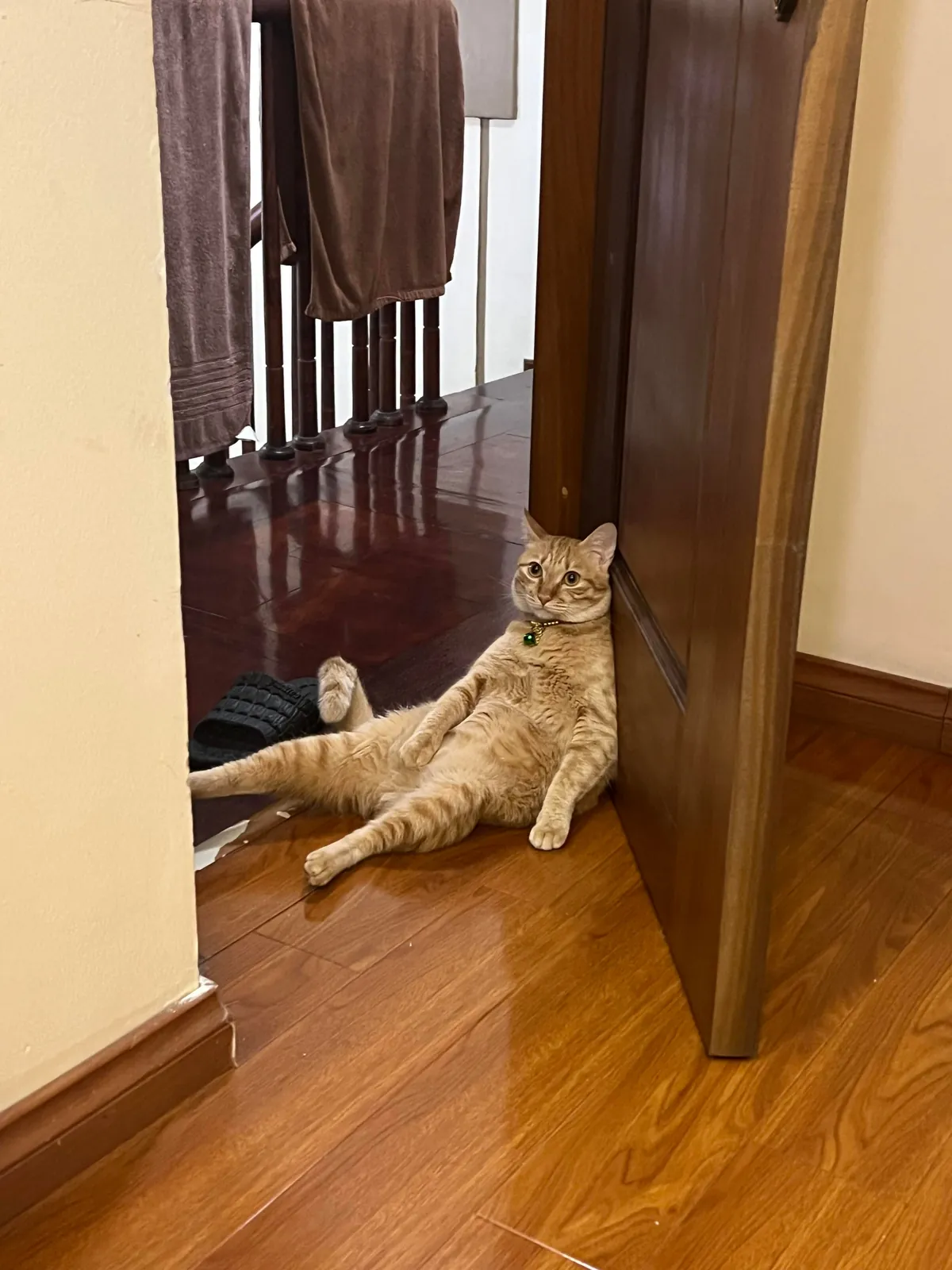 My roommate is unemployed and has a bad posture, roast him