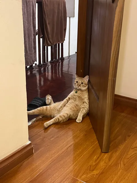 My roommate is unemployed and has a bad posture, roast him