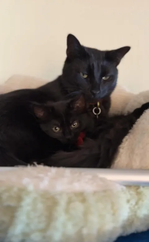 What would you name her?