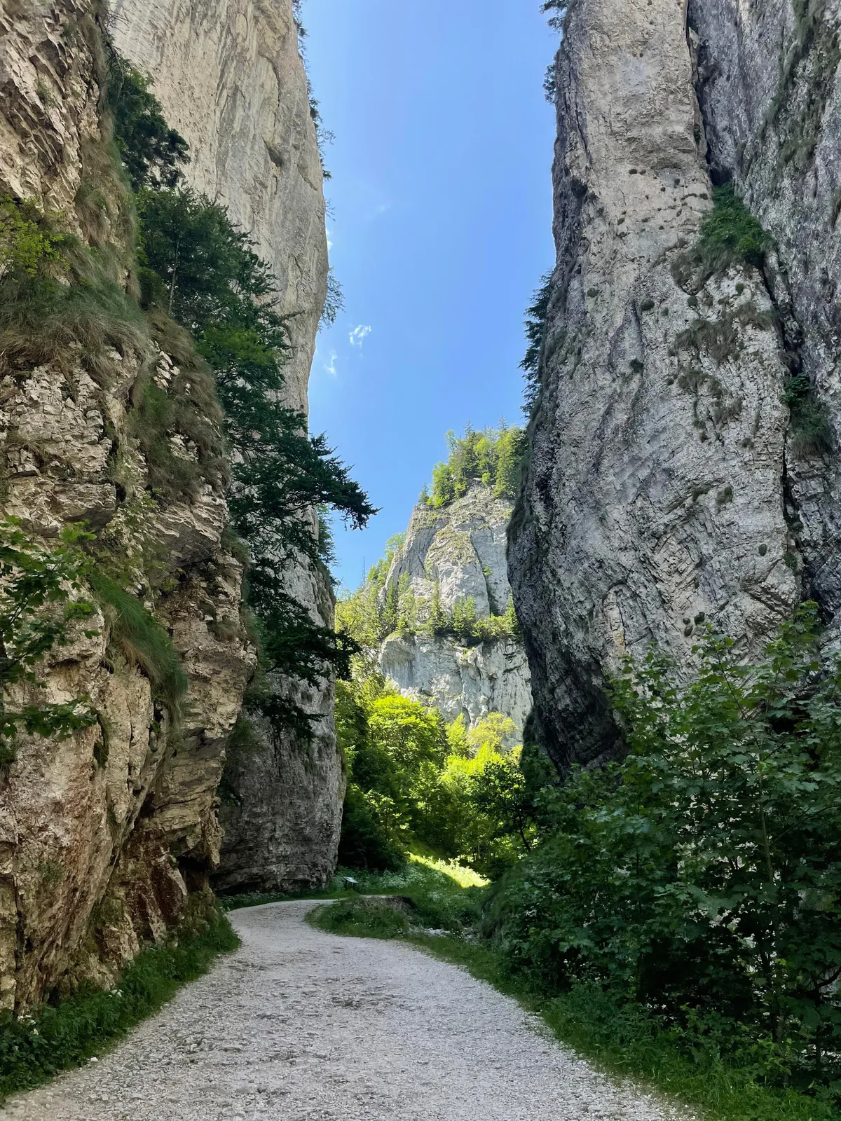 1 Week in Romania 🇷🇴