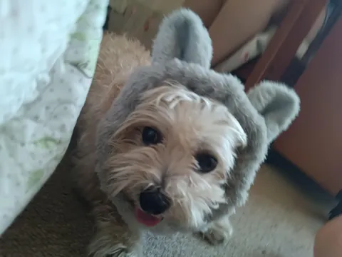 Here's my kinda old guy, before and after