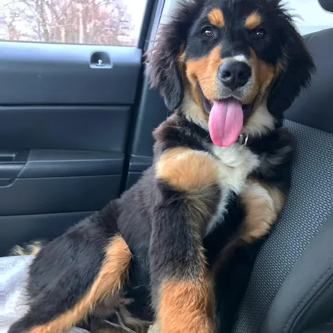 6 years later and we have a wise older brother in the making. ❤️🥰