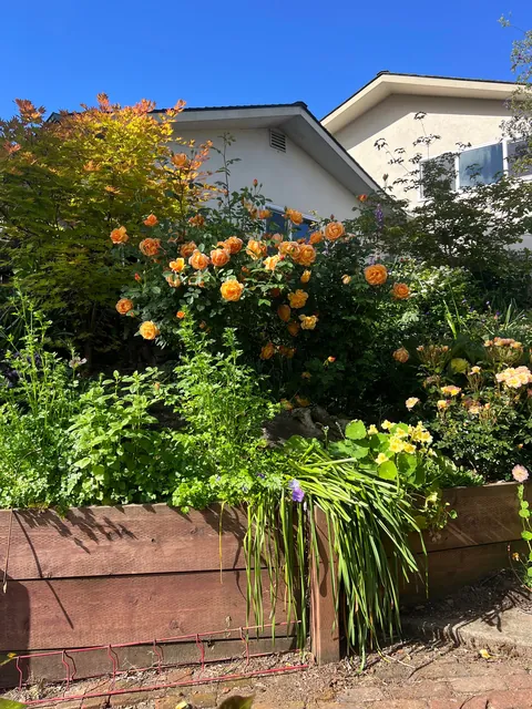 If you love your garden, it’ll love you back (Pt 2)