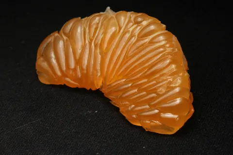 A perfectly peeled slice of mandarin