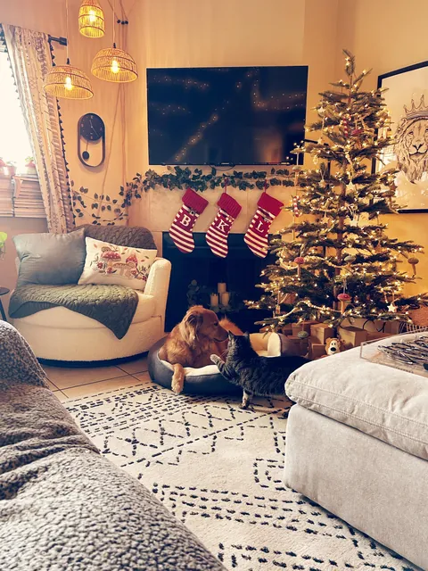 A few more angles of our spot in the desert 🌵☀️