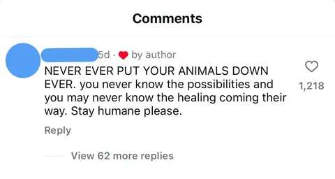 This comment on a video about a special needs pet