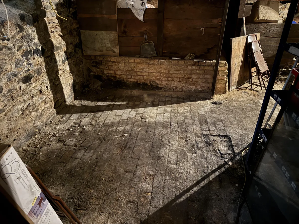 125-year old basement in Michigan.  I REALLY want to finish/level the floor.  Can I just go on top with self-leveler?