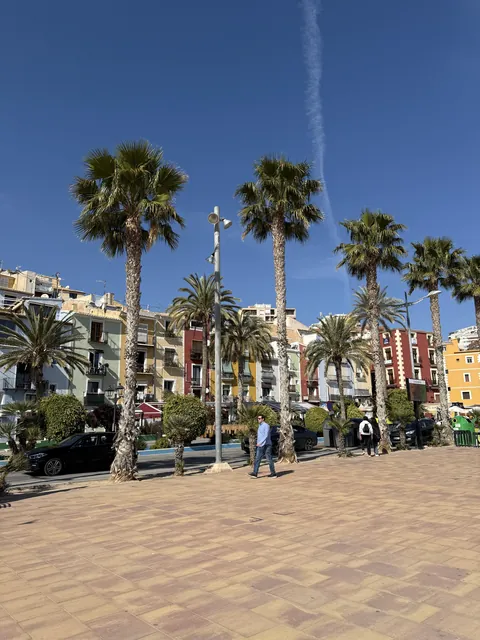 Visit to Spain: 2 weeks Alicante/Murcia/Barcelona