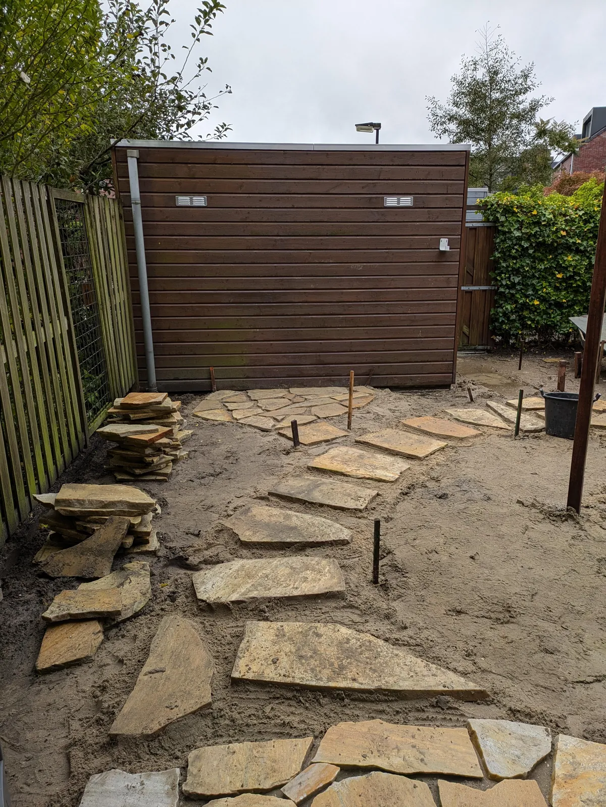 The first season of my flower garden