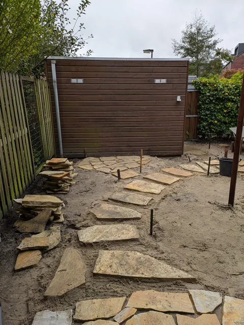 The first season of my flower garden