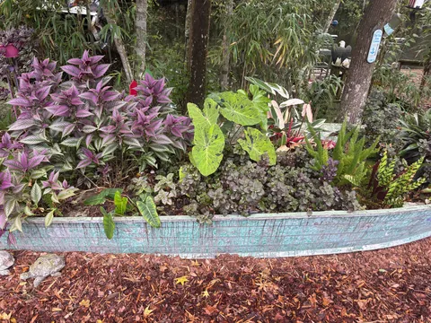 Do you guys like my boat garden!?