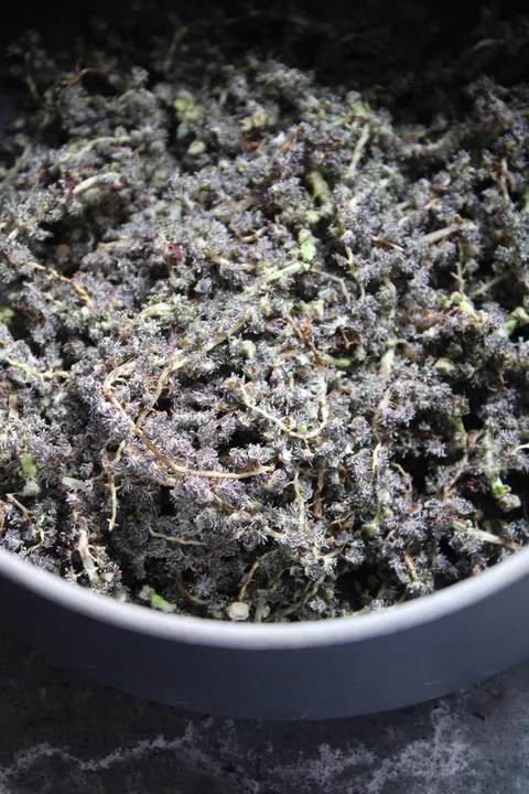 I dyed Easter Eggs using seeds from our cottonwood tree!They always stain our deck blue so I decided to mix them with vinegar and see what happened and it worked!! The best egg was an overnight soak with a little baking soda added too.