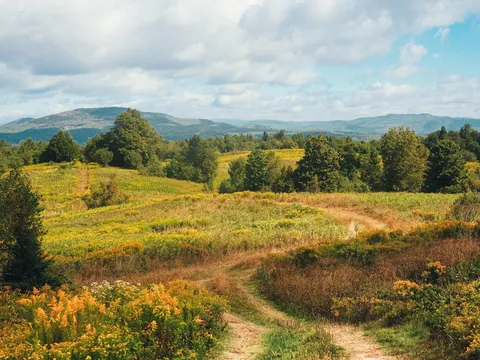 Nothing like a Vermont summer 🍎🛶⛰️