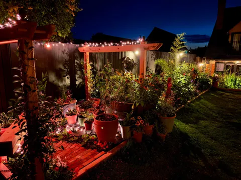 Our 2025 garden project (Staffordshire, UK)