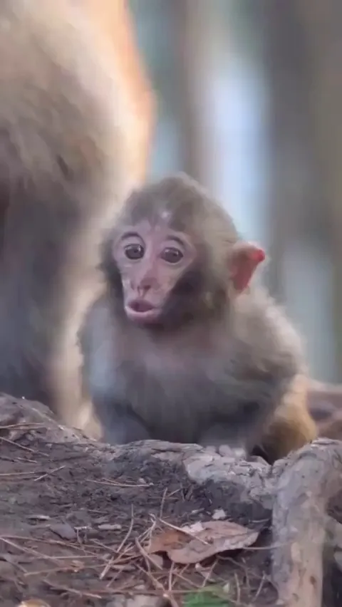 She was checking to see if it was her kid or nah 😂