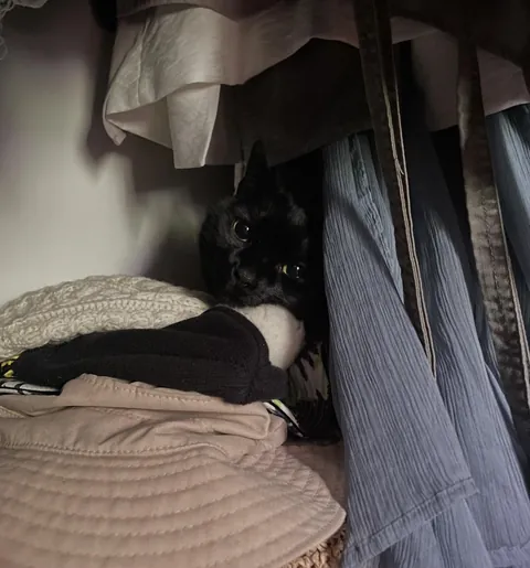 I searched high and low, and finally found her in my closet