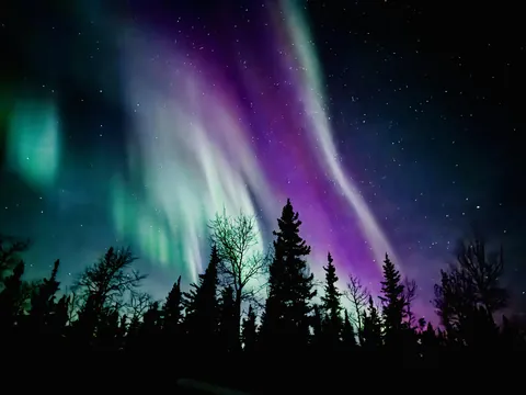 Best aurora picture from Alaska trip