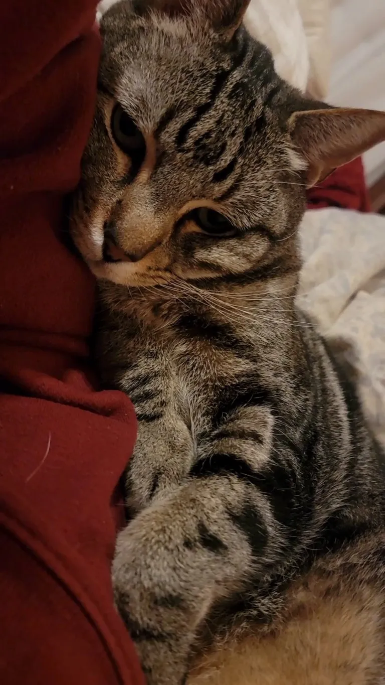 How I'm spending my 35th birthday