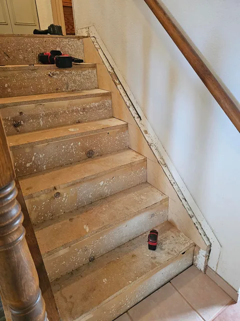 Stairs from carpet to LVP