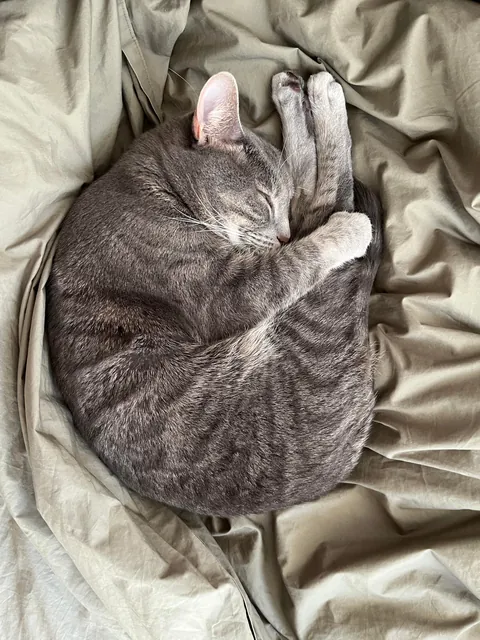 Retired Olympic diver. Old habits die hard 