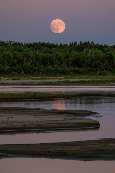 Strawberry full moon.  Saskatoon, Saskatchewan. [oc] [1365x2048]