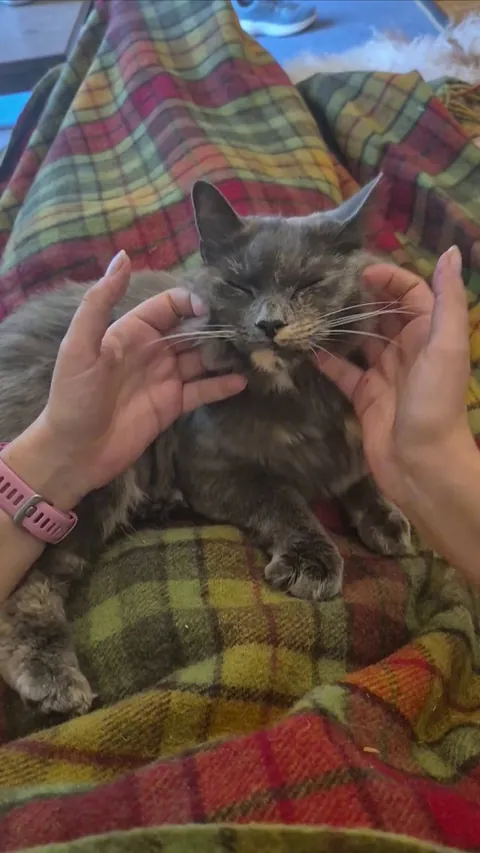 I could pet those soft fluffy cheeks forever!