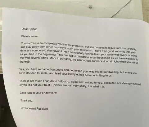 My girlfriend typed up an eviction notice for a spider at our house that I threatened to kill