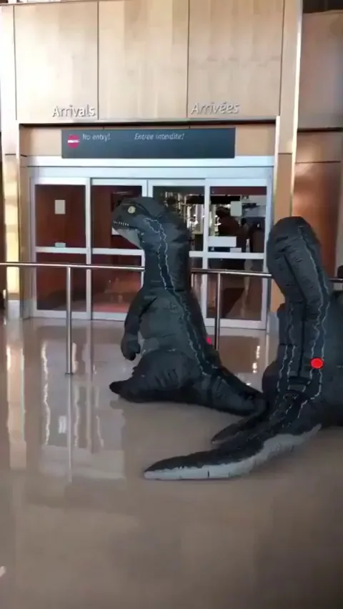 These grandkids planned to surprise their grandma at the airport dressing as t-rex but she heard about it and planned her own surprise.