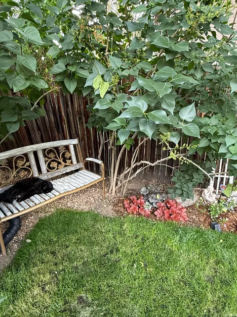 My 2nd year gardening, and I’m proud to share ‘em!