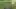 [Highlight] Athan Kaliakmanis scrambles, launches for Brown