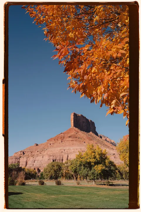 Fall in the high desert of Colorado, USA