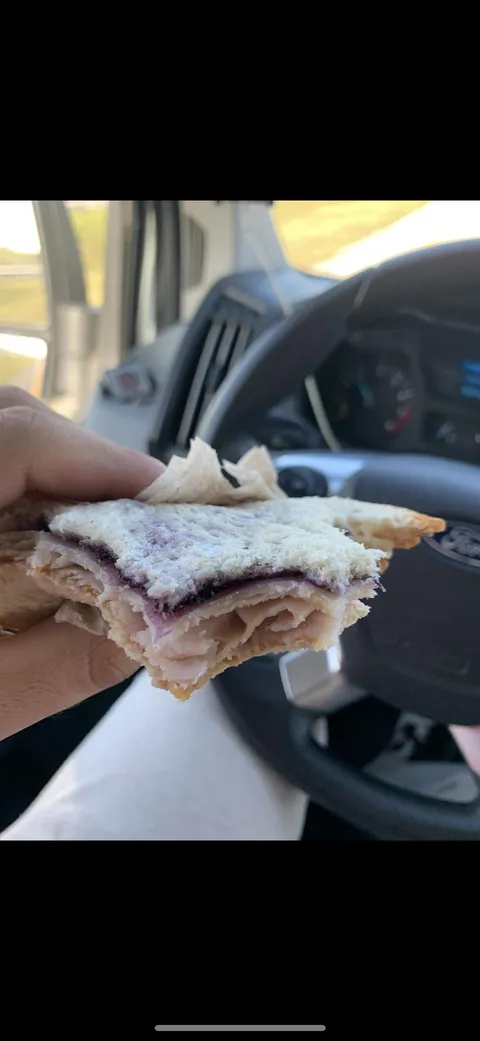 The sandwiches my girlfriend made