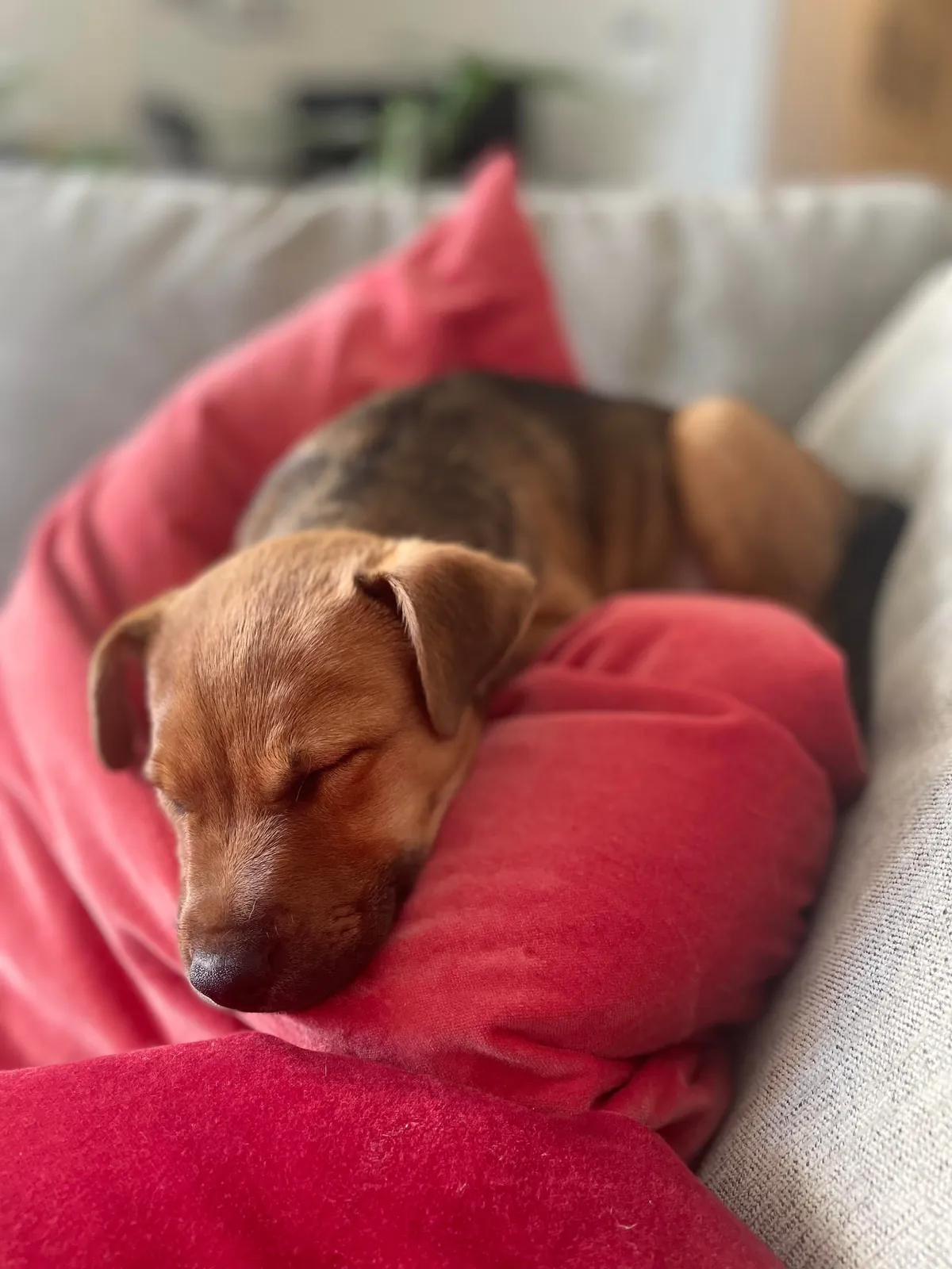 Hector through the years. Which is your favourite photo