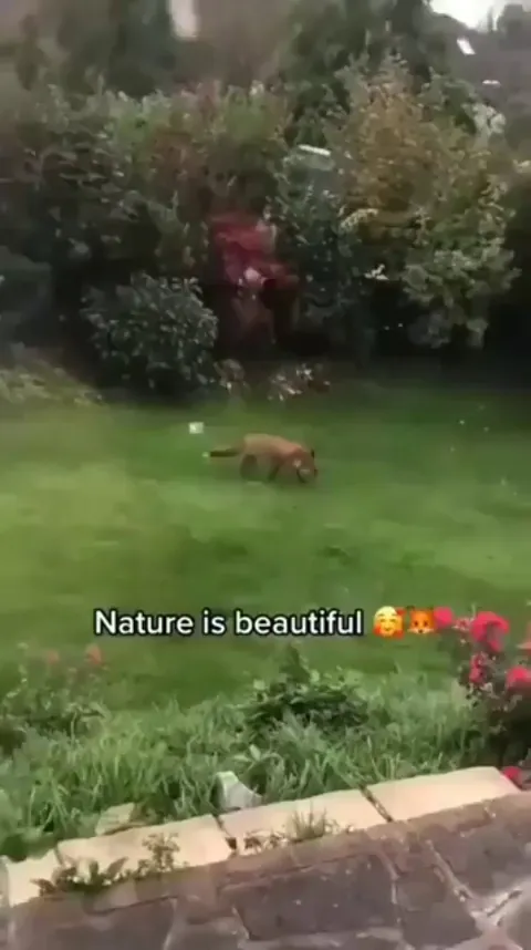 Nature is beautiful