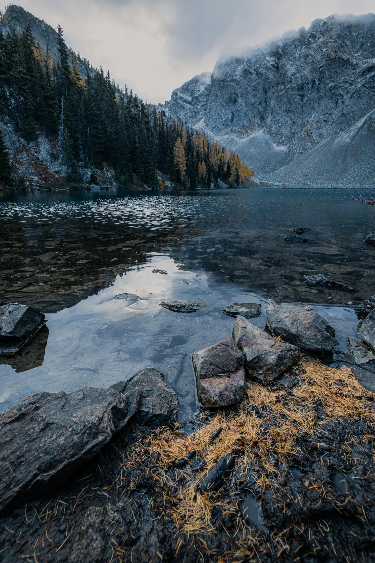Larches and mountains in Washington State [OC][8192x5464]