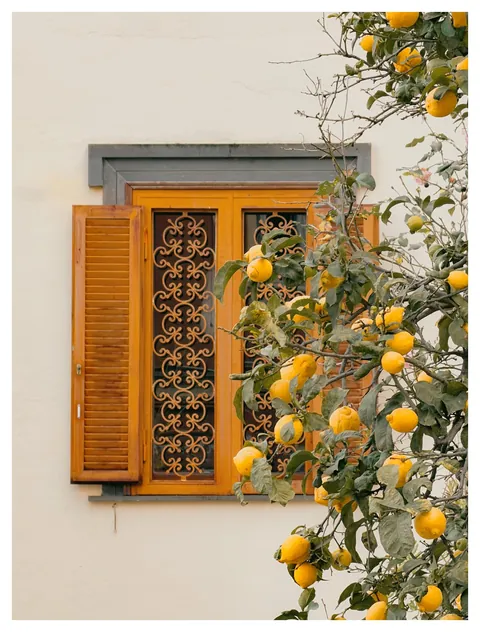 ITAP of lemons in Italy
